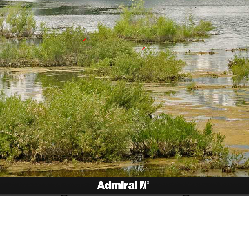 شاشة سمارت ادميرال 55 بوصة 4K- WebOs